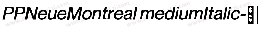 PPNeueMontreal mediumItalic字体转换